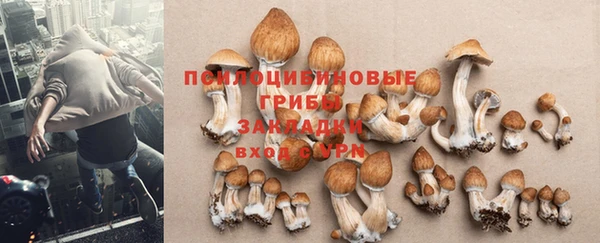 МДПВ Арсеньев