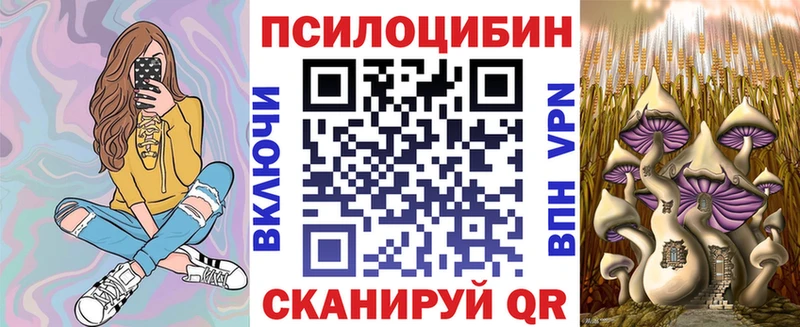 Псилоцибиновые грибы мицелий  наркотики  Ишим 